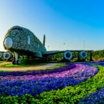The Best Dubai Miracle Garden in (2025)