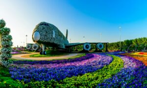 The Best Dubai Miracle Garden in (2025)