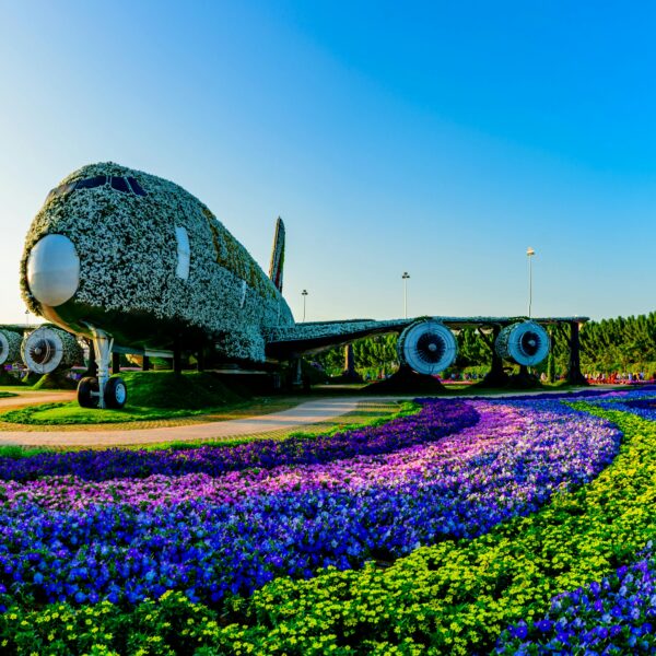 The Best Dubai Miracle Garden in (2025)