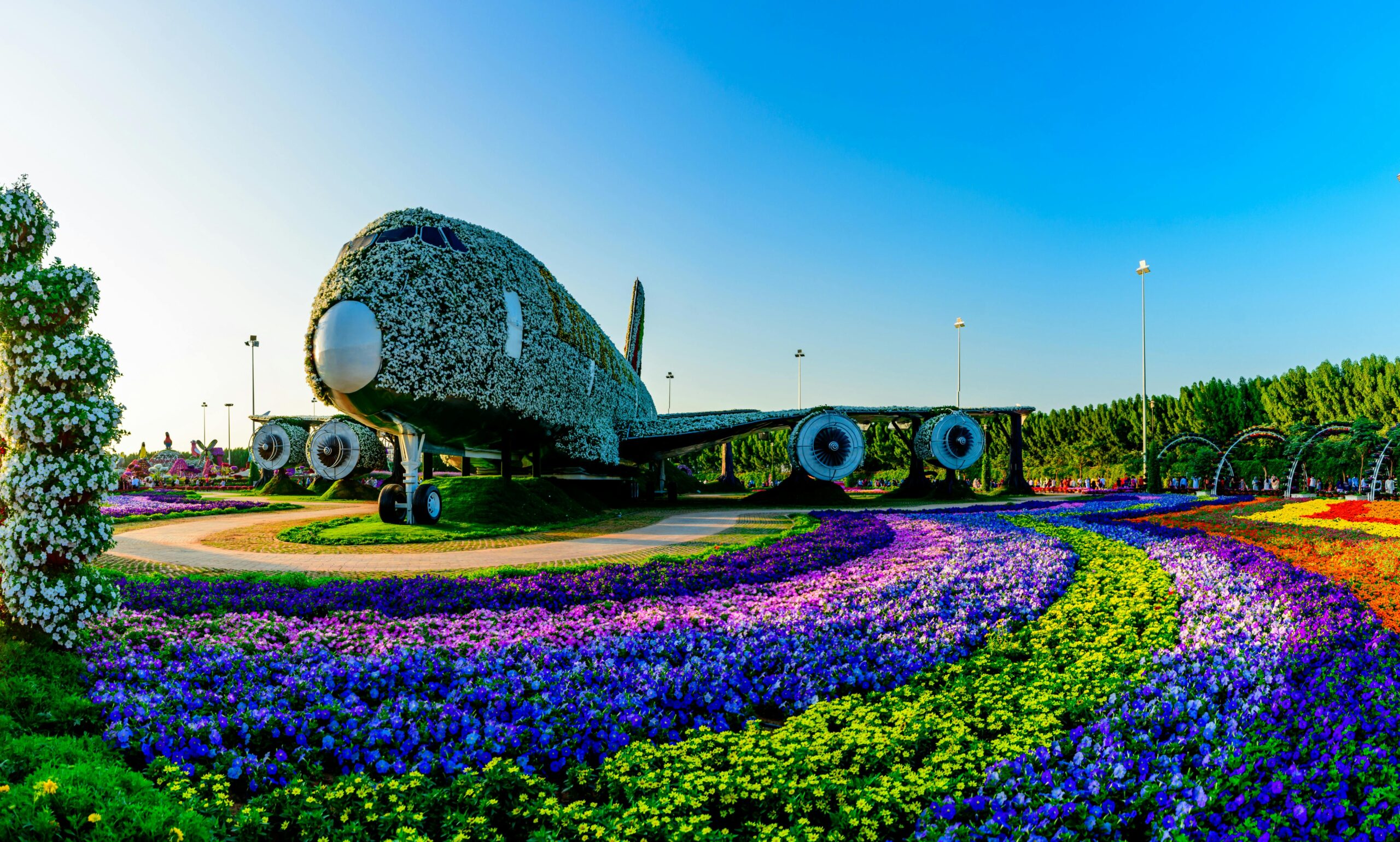 The Best Dubai Miracle Garden in (2025)