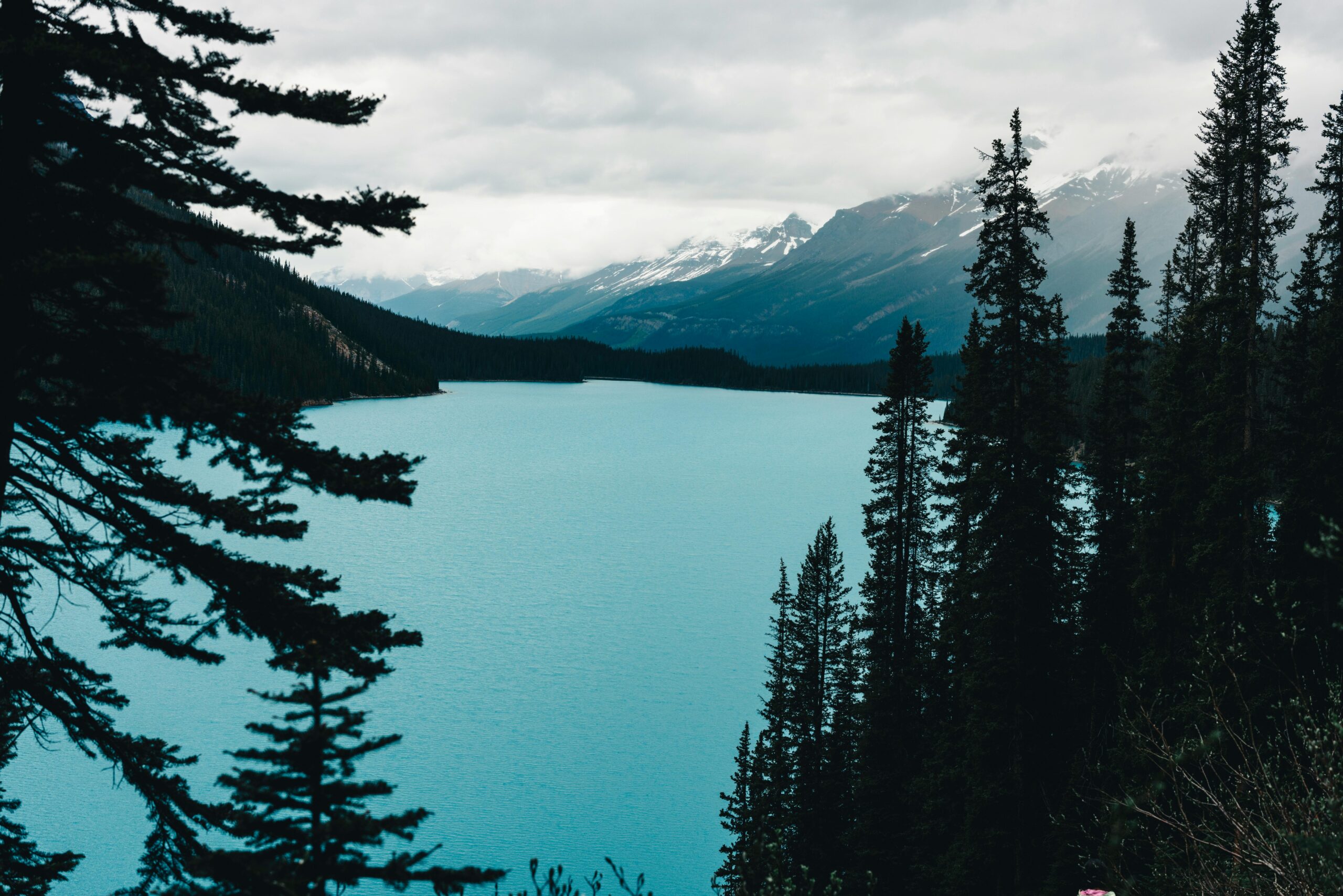 7 Breathtaking Reasons to Visit Kenai Fjords National Park (2025 Guide)