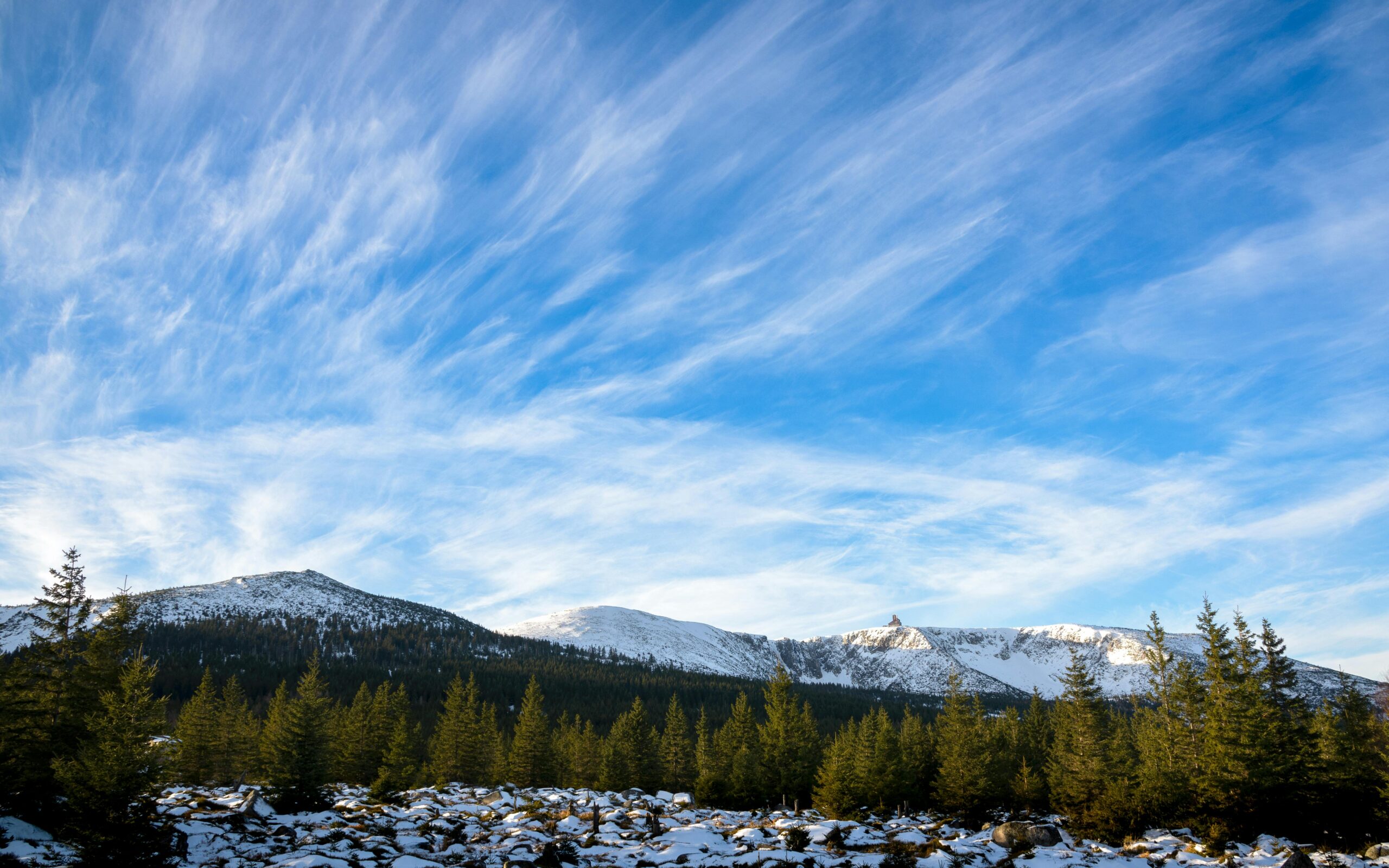 13 Fun Facts About Kenai Fjords National Park (2025 Guide)