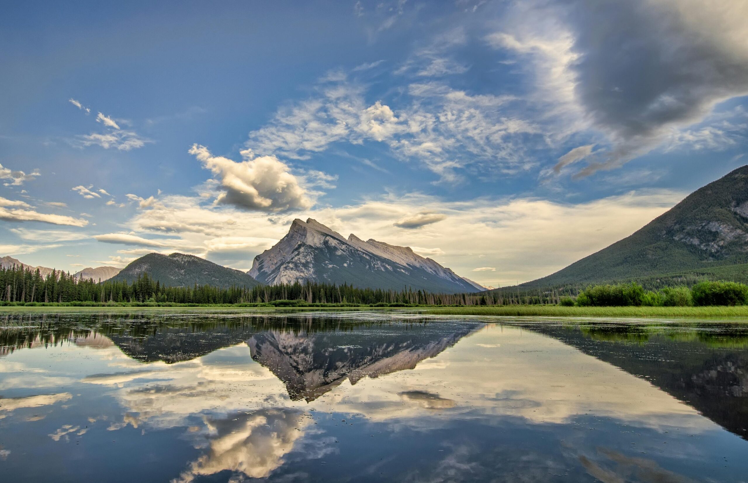 13 Fun Facts About Kenai Fjords National Park (2025 Guide)