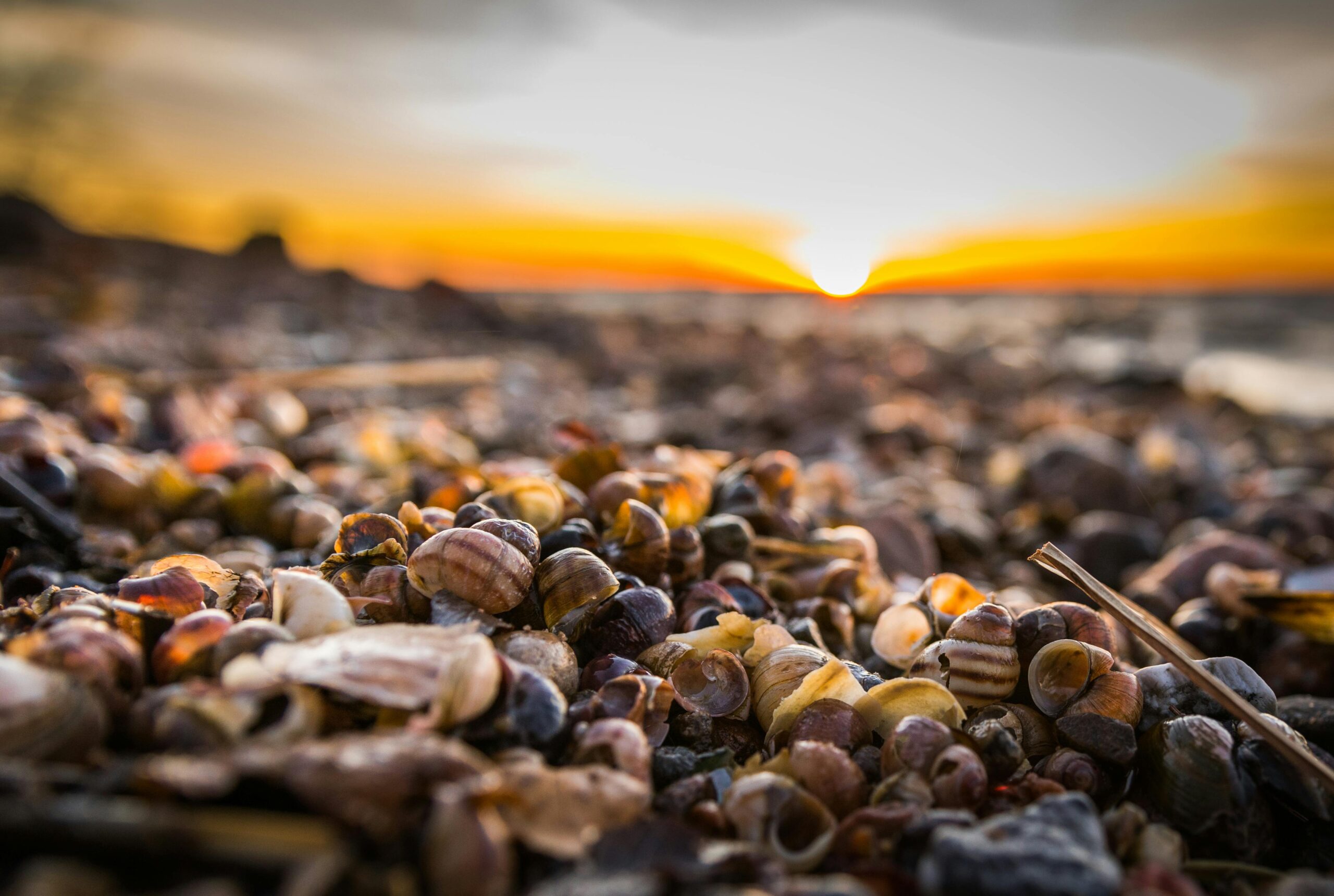 [2025] 9 Stunning Things to Do at Glass Pebble Beach (Hidden Gem!)