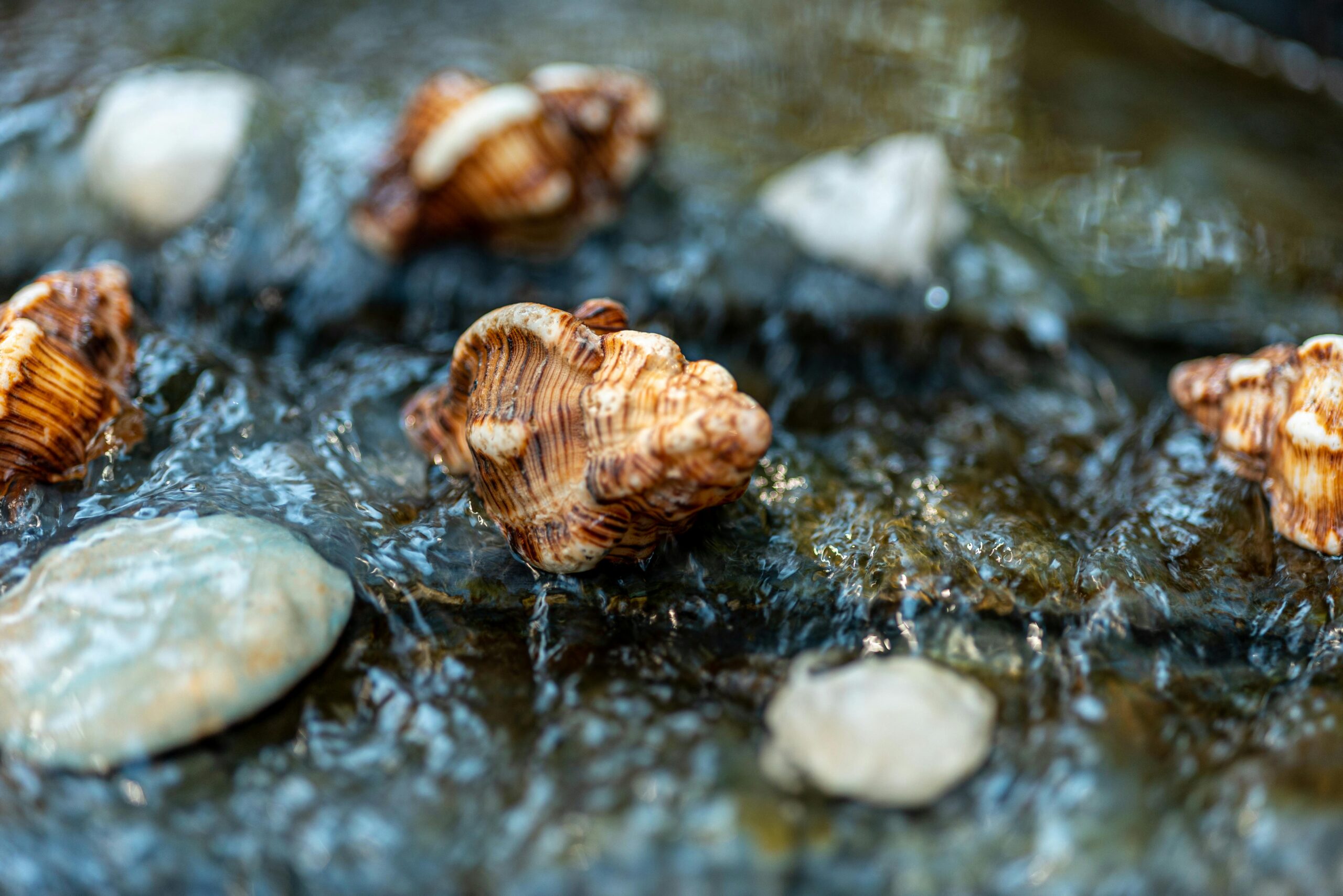 [2025] 9 Stunning Things to Do at Glass Pebble Beach (Hidden Gem!)