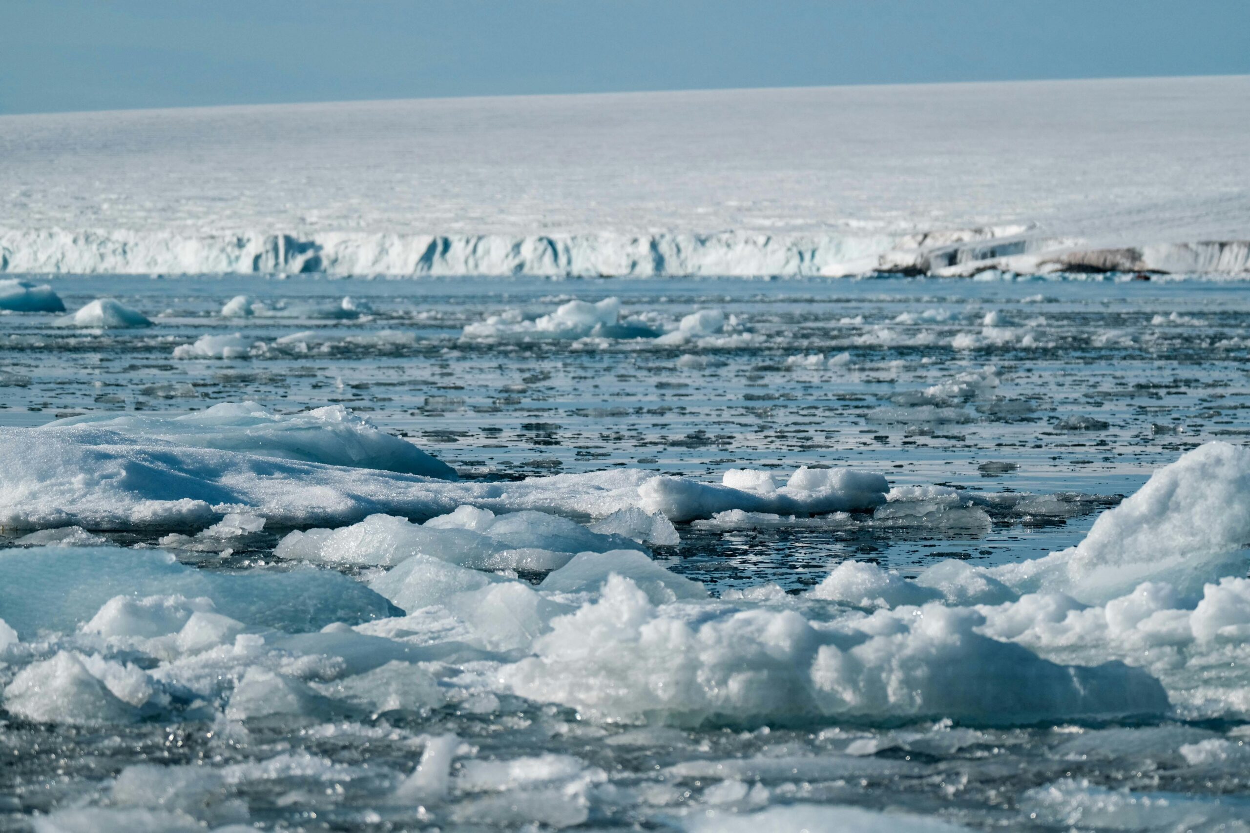 [2025] 11 Best Things to Do at the South Pole, Antarctica (Top Picks!)