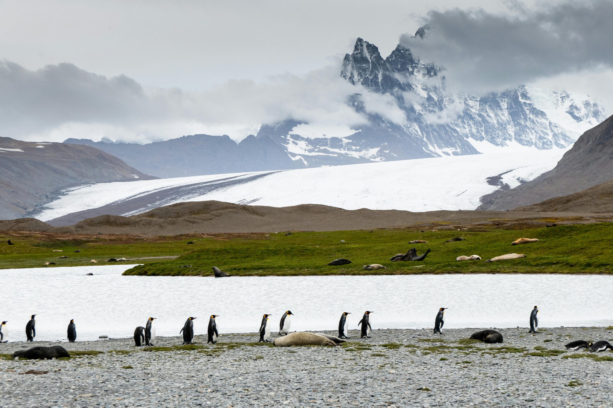 [2025] 11 Best Things to Do at the South Pole, Antarctica (Top Picks!)