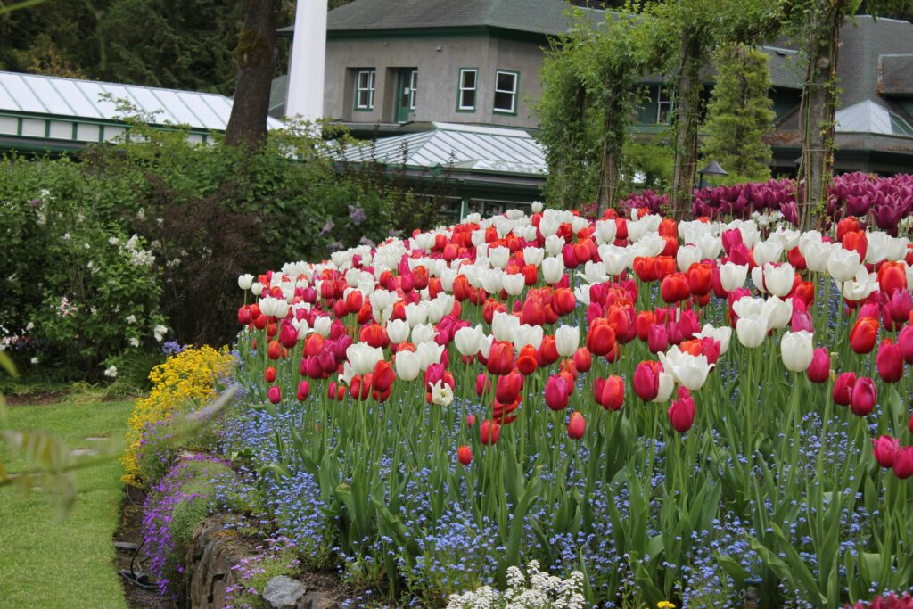 What is the #1 Tourist Attraction in British Columbia?