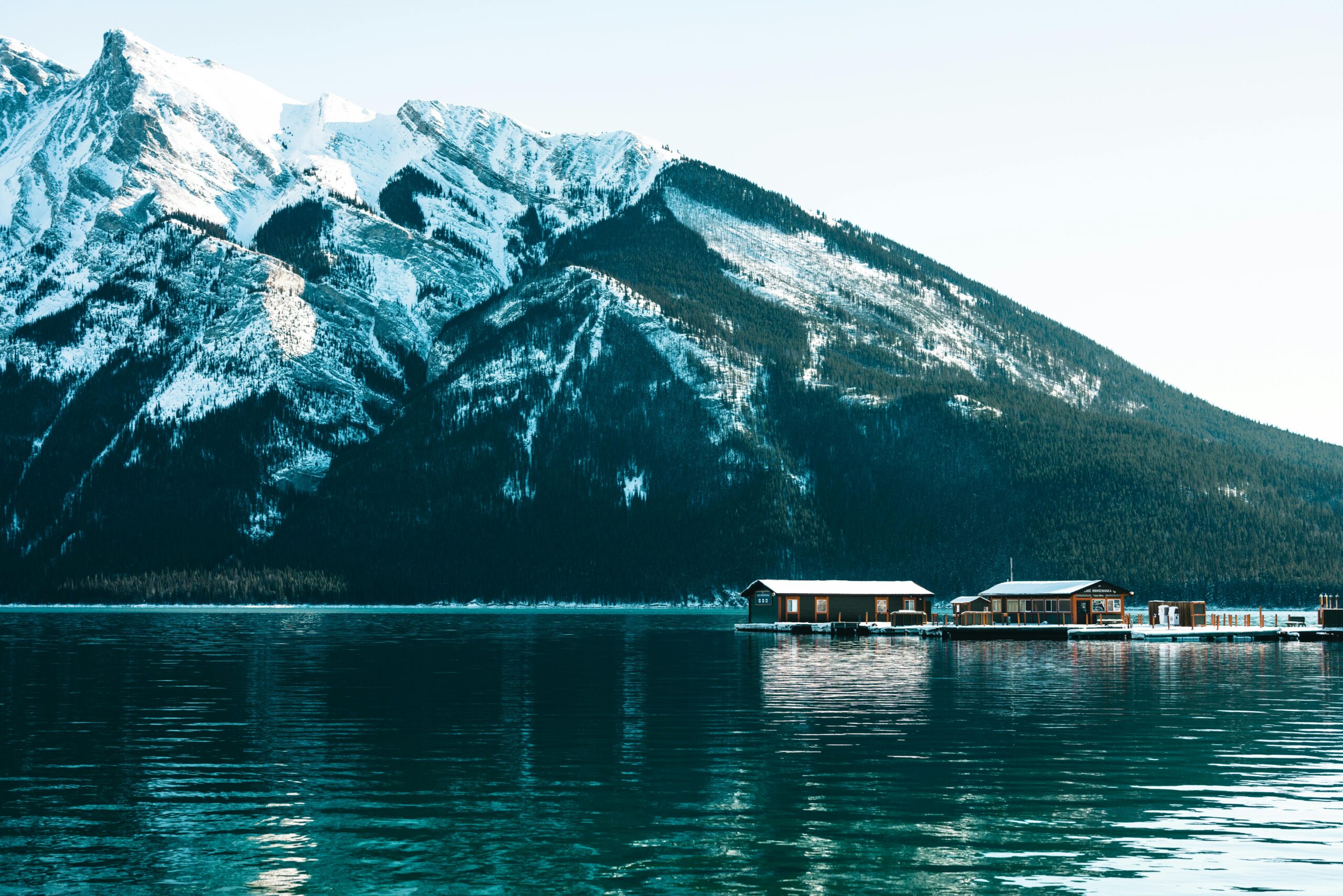 13 Fun Facts About Kenai Fjords National Park (2025 Guide)