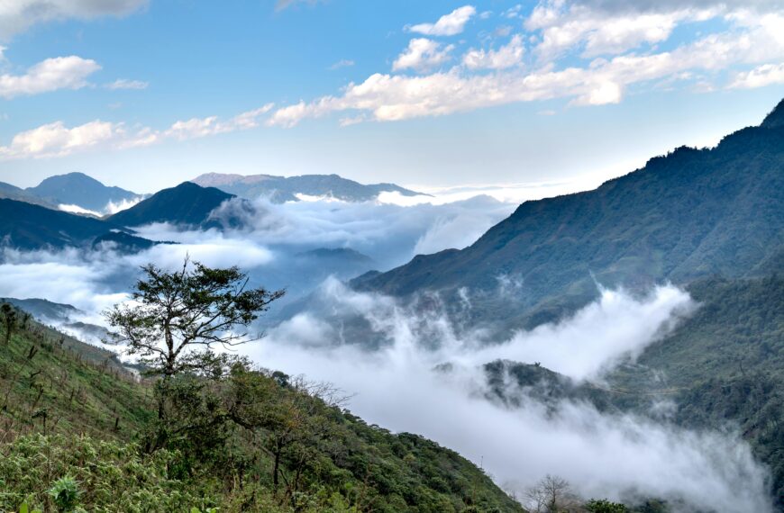 Top 7 Reasons to hike the Netravati Peak (2025 Guide)