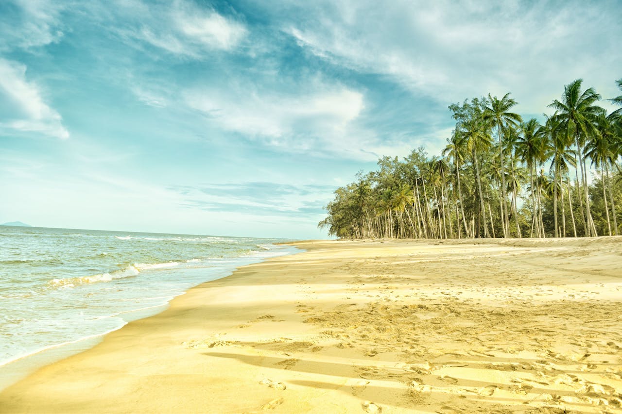 [2025] 15 Best Reasons to Visit California (Top Guide!)