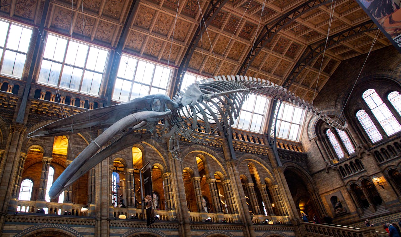 [2025] 17 Amazing Things to Do in NYC with Kids (Family Picks!)