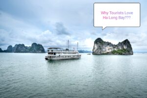 [2025] 15 Stunning Things to Do in Ha Long Bay, Vietnam (Travel Picks!)