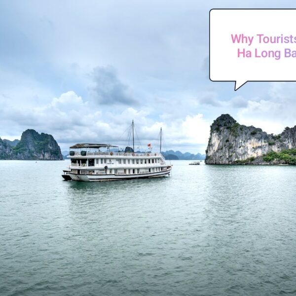 [2025] 15 Stunning Things to Do in Ha Long Bay, Vietnam (Travel Picks!)