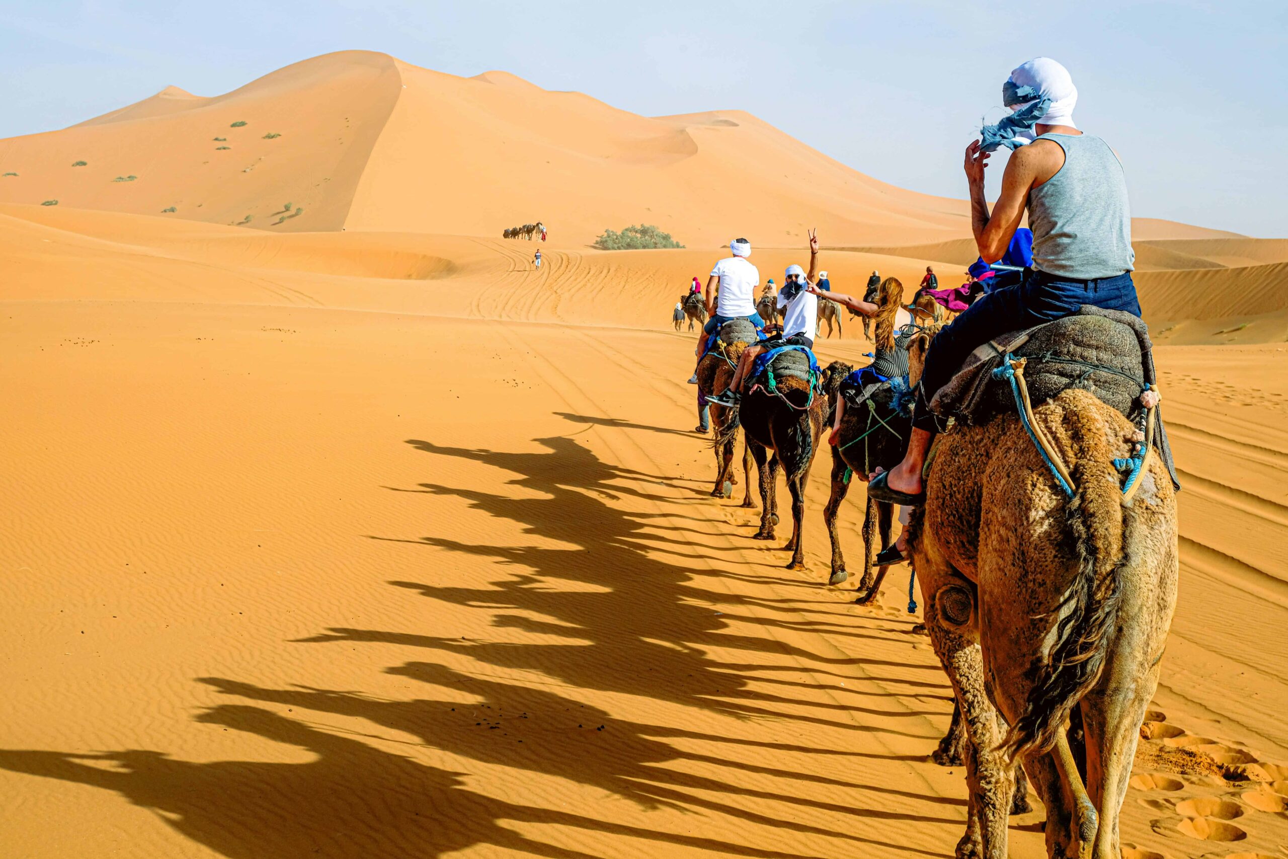 Morocco, Camel Caravan Trekking Through Desert Dunes
