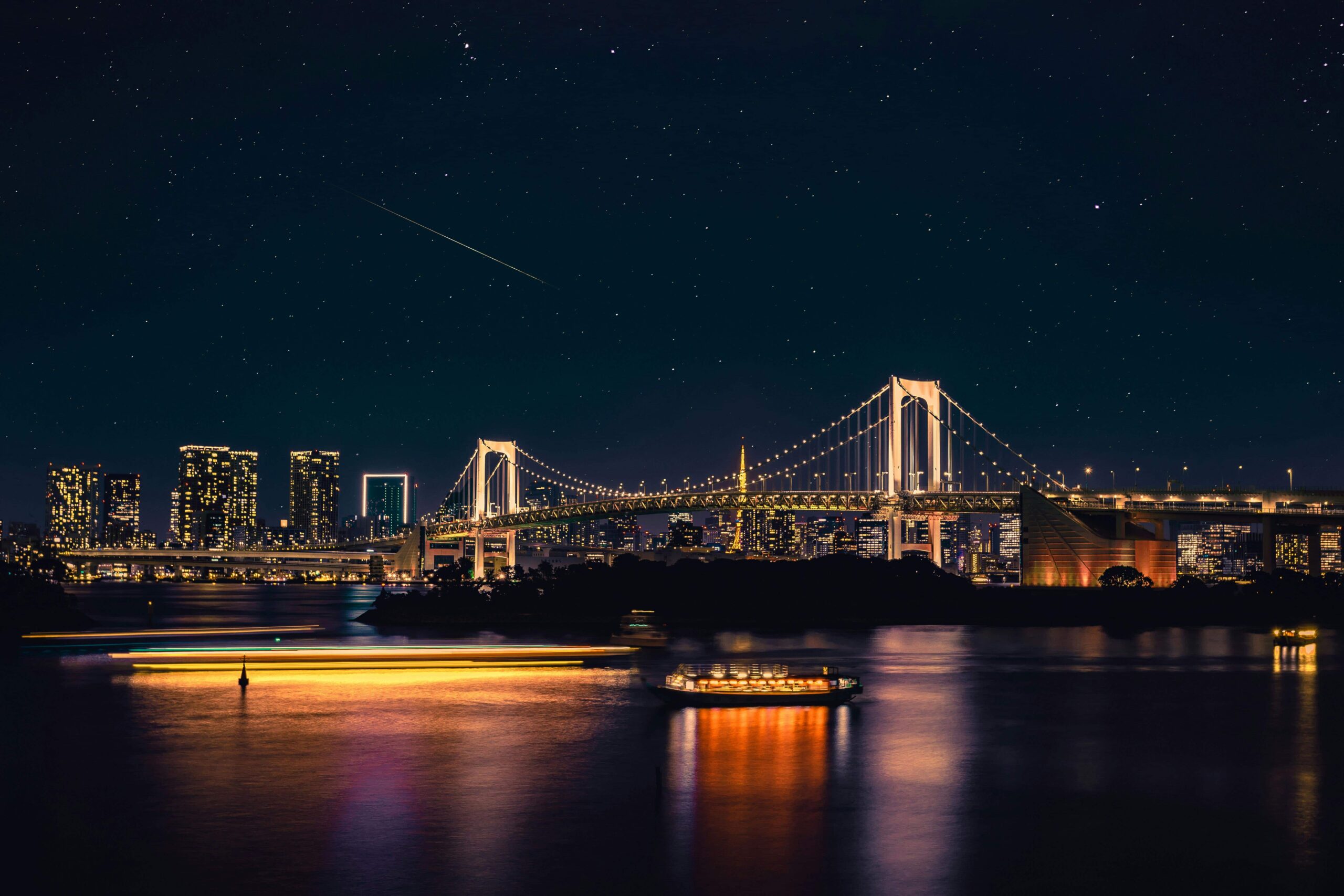 Tokyo skyline at night